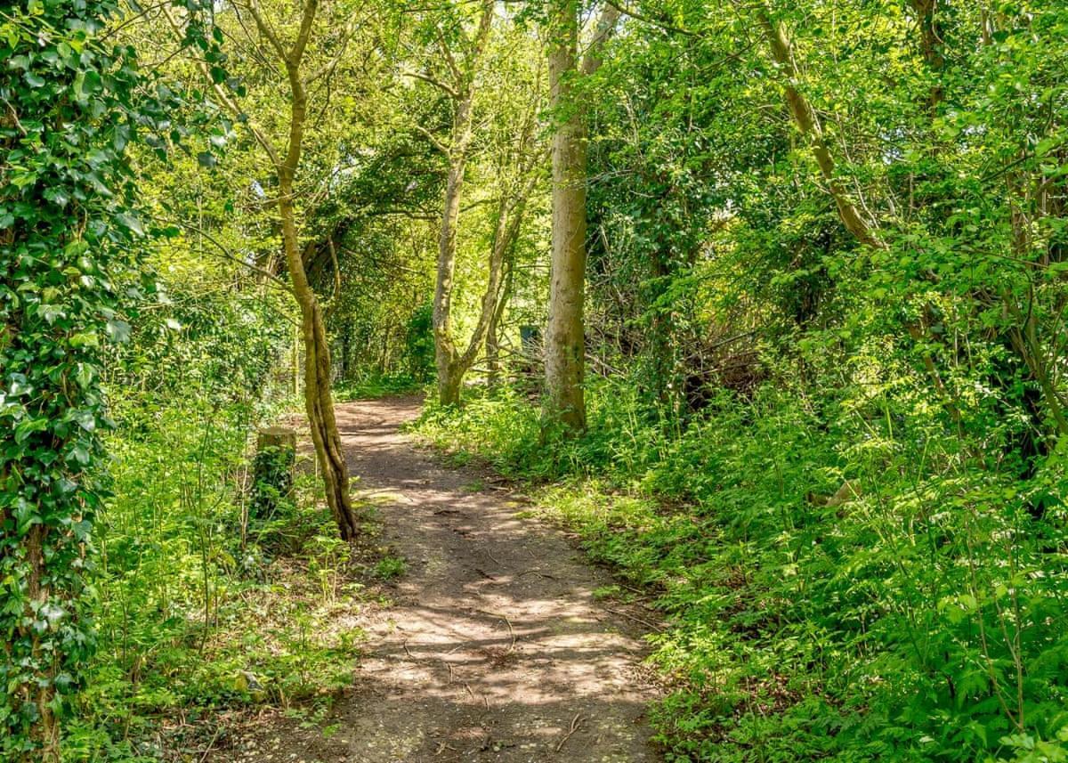 Canterbury Reach Lodge Retreat Petham Екстериор снимка